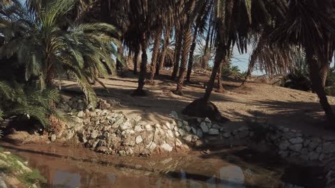 The focus on the vast green spaces in the Kingdom of Saudi Arabia, planting trees and natural green plants, drone photography of Moses Springs in the city of Neom in Tabuk, historical religious tourist landmarks, and the flowing waters in springs and lakes.