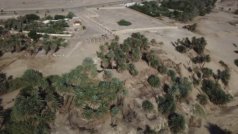 زراعة الاشجار والنباتات الطبيعية الخضراء، تصوير درون لعيون موسى في مدينة نيوم في تبوك، معالم دينية تاريخية سياحية، الاهتمام في المساحات الخضراء الواسعة في المملكة العربية السعودية، المياه المتدفقة في الينابيع والبحيرات .