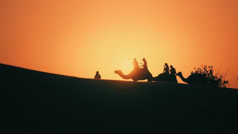 A group of tourists is riding camels on the soft golden sands, engaging in traditional Arab activities in the desert areas, showcasing the finest types of pure Saudi she-camels, and the concept of camel care and breeding.