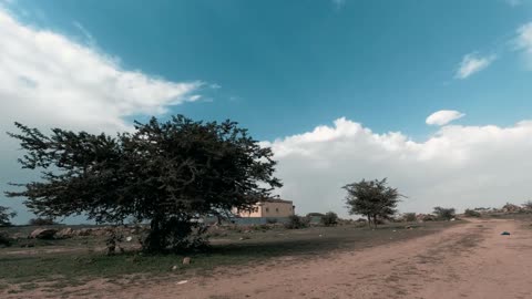 The mountainous environment in the Abha region, the peaks and highlands, and the natural topography in the city of Asir, the trees and green plants in the tourist areas of the Kingdom of Saudi Arabia, nature background.