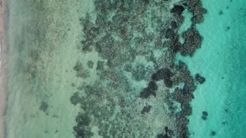 الطبيعة والمناظر البحرية, مناطق ساحلية في المملكة العربية السعودية, أماكن سياحية ترفيهيه, مياه بحر شرما مع الرمال, قيال ، نيوم ، مفهوم السياحة السعودية