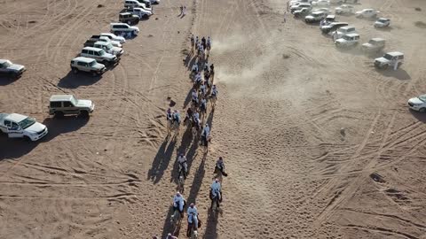 رياضة سباق الهجن في المملكة العربية السعودية، مجموعة من حيوانات الابل الى ميدان سباقات الهجن في المملكة العربية السعودية، انطلاق مهرجان ولي العهد