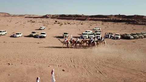 Arab heritage activities in desert areas, camel racing sport in the Kingdom of Saudi Arabia, a group of camels to the camel racing field in the Kingdom of Saudi Arabia, the launch of the Crown Prince Festival.