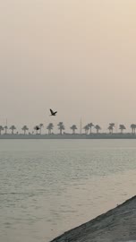 The Marina Corniche in the city of Dammam, famous coastal tourist attractions in the Kingdom of Saudi Arabia, areas for recreational trips and marine tours, attracting and drawing tourists from all over the world.