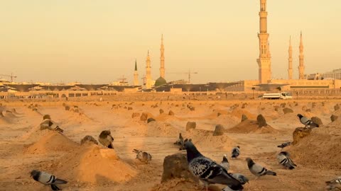 المآذن الشامخة للمسجد النبوي الشريف في المدينة المنورة, المناطق المحطية بالمسجد النبوي ، المعالم الدينية الإسلامية المقدسة في المملكة العربية السعودية, الفن الهندسي المعماري لبناء المساجد على الطراز الإسلامي