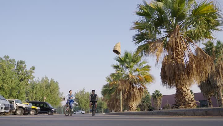 فتاة عربية سعودية خليجية ترتدي الزي الكاجوال تتحدث مع اخيها اثناء ركوب الدراجة الهوائية ,شاب عربي سعودي خليجي يرتدي السروال القصير و النظارة الشمسية في حديث شيق مع اخته وسط الحديقة الخضراء ,حديث عائلي ممتع و لحظات عائلية فريدة وسط الطرق الممهدة والنخل على الجانب
