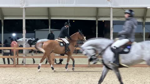 تحمية قبل  فعاليات القفز، مناسبة لشكر المتطوعين على جهودهم والتوعية بمساهماتهم في المجتمع، المملكة العربية السعودية، يوم التطوع العالمي 2025 في مركز الملك عبد العزيز الثقافي العالمي (إثراء)، زيادة الوعي العام حول أهمية العمل التطوعي في التنمية الاجتماعية