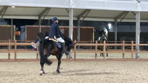 الخيالة  في فعاليات القفز، مناسبة لشكر المتطوعين على جهودهم والتوعية بمساهماتهم في المجتمع، المملكة العربية السعودية، يوم التطوع العالمي 2025 في مركز الملك عبد العزيز الثقافي العالمي (إثراء)، زيادة الوعي العام حول أهمية العمل التطوعي في التنمية الاجتماعية