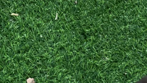 التدرب على ركوب الخيل في فعاليات القفز، مناسبة لشكر المتطوعين على جهودهم والتوعية بمساهماتهم في المجتمع، المملكة العربية السعودية، يوم التطوع العالمي 2025 في مركز الملك عبد العزيز الثقافي العالمي (إثراء)، زيادة الوعي العام حول أهمية العمل التطوعي في التنمية الاجتماعية