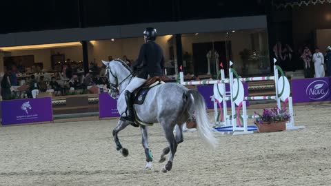 ركوب الخيل في يوم التطوع، مناسبة لشكر المتطوعين على جهودهم والتوعية بمساهماتهم في المجتمع، المملكة العربية السعودية، يوم التطوع العالمي 2025 في مركز الملك عبد العزيز الثقافي العالمي (إثراء)، زيادة الوعي العام حول أهمية العمل التطوعي في التنمية الاجتماعية