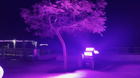 Innovative interactive artistic shows, the tourist waterfront at the events of the 2025 Taal Al-Ajaib Festival in Jubail Industrial City in the Eastern Province, Jubail Corniche, various recreational activities, famous tourist attractions.