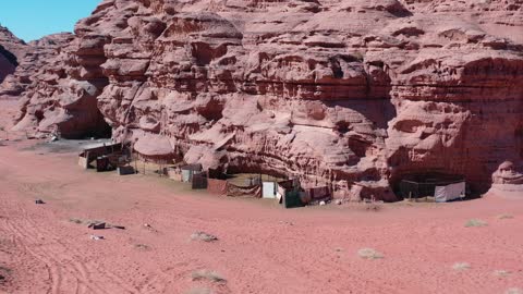 المواشي والثدييات في الصحاري،