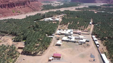 من المزرعة إلى المائدة، مساحة خضراء شاسعة تضم مسارات للمشي بين أشجار النخيل والحمضيات، مزارع العلا في المملكة العربية السعودية،  أكبر المزارع التي توفر خيارات للإقامة الريفية