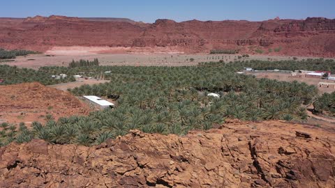 من المزرعة إلى المائدة، مساحة خضراء شاسعة تضم مسارات للمشي بين أشجار النخيل والحمضيات، مزارع العلا في المملكة العربية السعودية،  أكبر المزارع التي توفر خيارات للإقامة الريفية