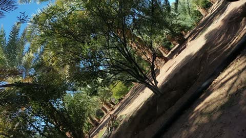 مصور عربي يرتدي الثوب الابيض والشماغ، أكبر المزارع التي توفر خيارات للإقامة الريفية، مسار للمشي بين أشجار النخيل والحمضيات، من المزرعة إلى المائدة، تصوير درون لمزارع العلا في المملكة العربية السعودية