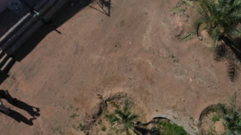 التصوير بكميرات حديثة الدرون، أكبر المزارع التي توفر خيارات للإقامة الريفية، مسار للمشي بين أشجار النخيل والحمضيات، من المزرعة إلى المائدة، تصوير درون لمزارع العلا في المملكة العربية السعودية