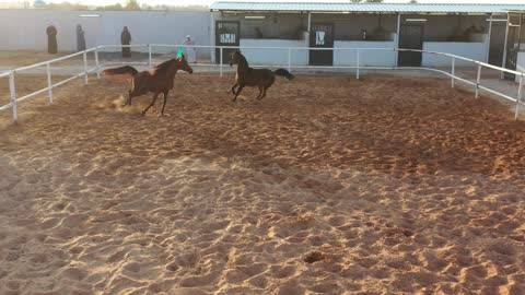 1765692924ThO0Qo9kg0