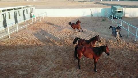 1765693709u3DKCjhYH0