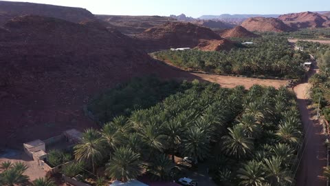 الاهتمام بزراعة الاشجار الخضراء، مسار للمشي بين أشجار النخيل والحمضيات، من المزرعة إلى المائدة، تصوير درون لمزارع العلا في المملكة العربية السعودية،  أكبر المزارع التي توفر خيارات للإقامة الريفية