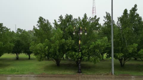 17656966972jvAgELvra