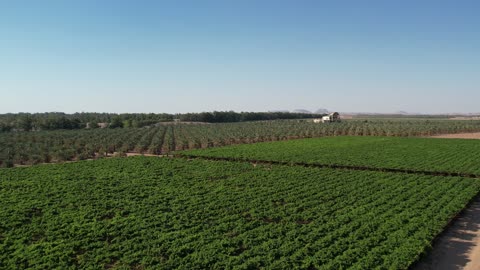 1765780256KbVWPx4VdP