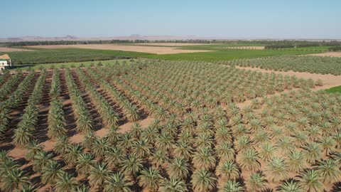 1765780701yjaLcqrTuo