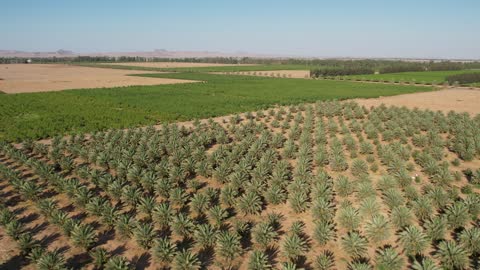 1765780893O7PmBGmeCp