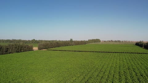 Nature in Tabuk, the Tabuk region is one of the most important agricultural areas in the Kingdom of Saudi Arabia, a depiction of a large and productive agricultural field, achieving local food security, large agricultural companies.