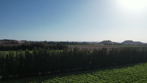 A large agricultural company, nature in Tabuk, the Tabuk region is one of the most important agricultural areas in the Kingdom of Saudi Arabia, a depiction of a farm field for large and productive farms, achieving local food security.