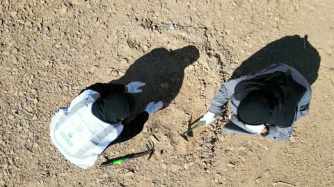 مزارعون يقومون بزراعة شتلات الورد في محمية الملك سلمان بن عبدالعزيز الملكية في تبوك شمال المملكة العربية السعودية، أكبر محمية طبيعية في المملكة، الاهتمام بالزراعة والطبيعة