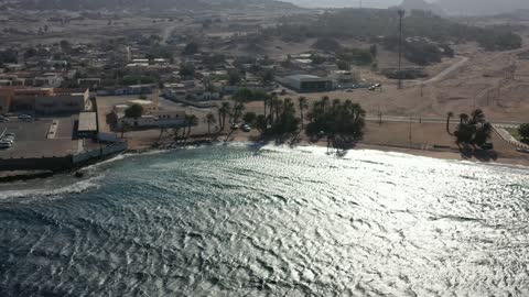 تصوير درون لبحر مقنا في محافظة تبوك، شاطئ ساحلي على خليج العقبة، مشاريع نيوم المستقبلية، الاهتمام بزراعة أشجار النخيل الخضراء