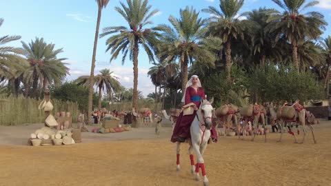 فعالية الممالية في محافظة تيماء، التاريخ الملكي لمدينة تيماء القديمة، مهرجان الممالك القديمة، تقديم عرض لحيوان الجمل، الحفاظ على الارث التاريخي