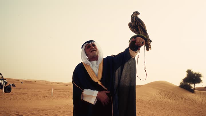 Training and taming of predatory birds, an elderly Emirati Arab man wearing a white kandura, a black bisht, and a ghutrah with an agal stands in the desert holding a falcon in his hands, showing gestures of happiness and joy.