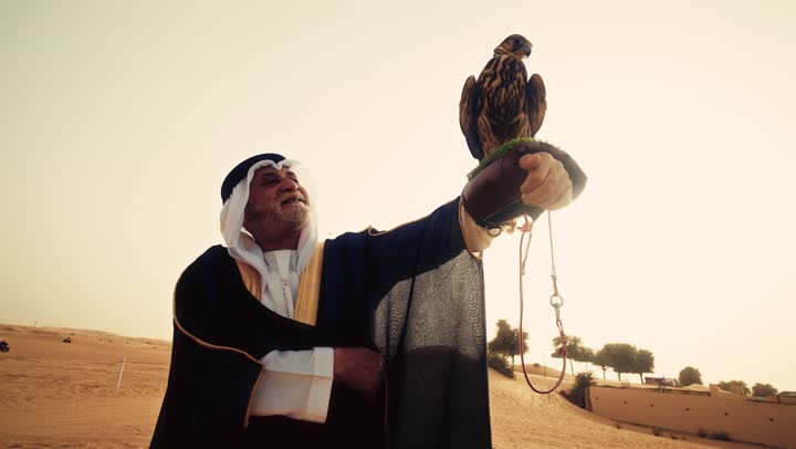استخدام أدوات لتدريب وترويض الصقور العربيه الأصيلة الجارحة والمفترسة ,  تدريب الصقر الجارح، رجل عربي خليجي إماراتي مسن يرتدي الكندورة البيضاء والبشت الأسود والشماغ مع العقال يقف فى الصحراء يحمل على يدية صقر، ايماءات السعادة و السرور