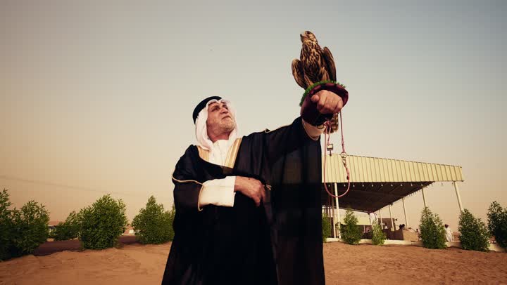 The skill of taming and training birds of prey, the status of falcons in Emirati history, training the hunting falcon, an elderly Arab Gulf Emirati man wearing a white kandura, a black bisht, and a ghutrah with an agal stands in the desert holding a falcon in his hands, gestures of happiness and joy.