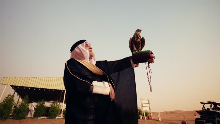 The transfer of ancestral heritage in the breeding of predatory birds across generations, the status of falcons in Emirati history, training the hunting falcon, an elderly Arab Gulf Emirati man wearing a white kandura, a black bisht, and a ghutrah with an agal stands in the desert holding a falcon in his hands, gestures of happiness and joy.