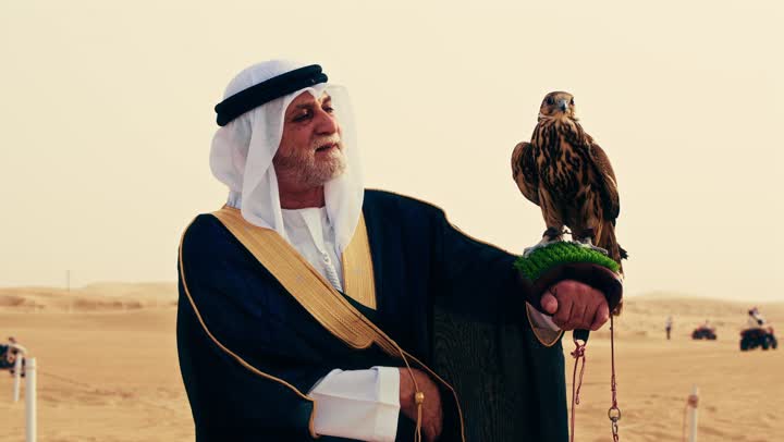 Developing the abilities of birds through their breeding, the status of falcons in Emirati history, training the hunting falcon, an elderly Arab Gulf Emirati man wearing a white kandura, a black bisht, and a ghutrah with an agal stands in the desert holding a falcon in his hands, gestures of happiness and joy.