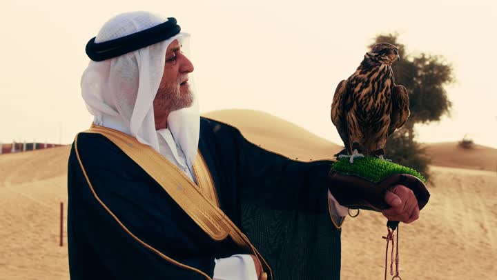 فن ترويض الطيور المفترسة,  مكانة الصقور في التاريخ الاماراتي,  تدريب الصقر الجارح، رجل عربي خليجي إماراتي مسن يرتدي الكندورة البيضاء والبشت الأسود والشماغ مع العقال يقف فى الصحراء يحمل على يدية صقر، ايماءات السعادة و السرور