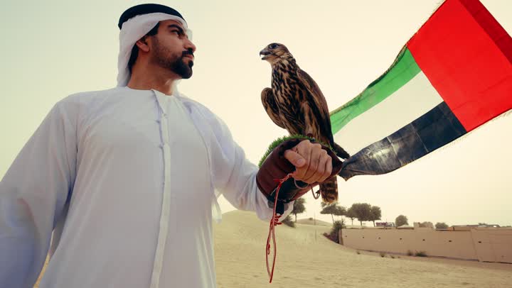 The interest in breeding wild birds, the status of falcons in Emirati history, an Arab Gulf Emirati man wearing a kandura and a white ghutrah standing in the desert holding a falcon on his hand, training the hunting falcon.