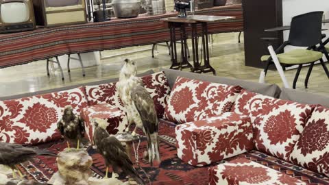 سوق القرية الشعبية فى مدينة الدمام يوم 29 من ديسمبر 2025، القرية العالمية بالدمام،  تجربة ثقافية وسياحية للعائلات والزوار، التراث العمراني السعودي، فعالية تراثية بطابع شعبي أصيل، وجهة ثقافية وسياحية بارزة في المملكة العربية السعودية