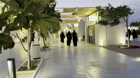 17665588916Sy41Rrctz