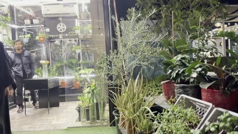 متجر متخصص في تنسيق الحدائق وتصميم المساحات الخارجية ، معالم سياحية مشهورة، الواجهة البحرية السياحية في المملكة العربية السعودية بمدينة الجبيل الصناعية ، كورنيش الجبيل، مقهى ومكان فيه أضواء مبتكرة