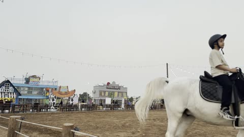 Horse and camel riding, the idea of having a market or a complete entertainment area, and Winter Wonderland in the Al-Shatea neighborhood in Jeddah, Saudi Arabia on December 19, 2025, entertainment games and interactive experiences, live shows and enjoyable lights, festive snowy atmosphere.