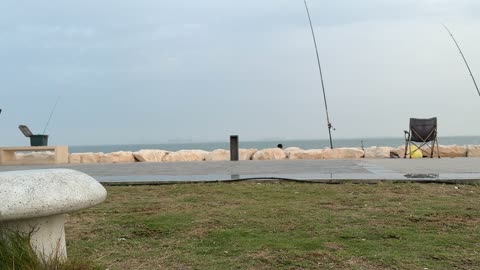 جو عائلي هادئ ، الاهتمام بالتشجير والبيئة، قضاء الاطفال وقت ممتع، وجهة ترفيهية مفتوحة، ممشى همس فى المنطقة الشرقية في 28 ديسمبر، تجربة تنزه عصرية، مساحة للمشي والاسترخاء ،  جلسات ومقاعد خارجية