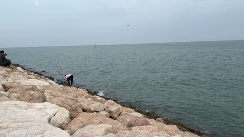 ممارسة هواية صيد السمك، جو عائلي هادئ ، الاهتمام بالتشجير والبيئة، قضاء الاطفال وقت ممتع، وجهة ترفيهية مفتوحة، ممشى همس فى المنطقة الشرقية في 28 ديسمبر، تجربة تنزه عصرية، مساحة للمشي والاسترخاء ،  جلسات ومقاعد خارجية