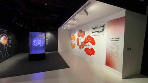 لغات الجزيرة العربية ، معرض اللغة العربية للكبارفى مقر مجمع الملك سلمان العالمي للغة العربية في حي الورود بالرياض يوم ١١ من ديسمبر 2025، تحقيق رؤية السعودية 2030 في المجال الثقافي،  أنشطة ثقافية وفكرية متنوعة، تعزيز مهارة اللغة والتواصل لدى البالغين