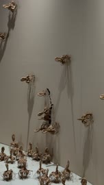 فعالية بين ثقافتين (السعودية والصين) في قاعة  الملفى بمدينة مسك بالرياض يوم 24 ديسمبر 2025 ، معرض فني مشترك ،  تجربة الشارع الصيني،  فنون أدائية وموسيقية تعكس التبادل الثقافي والحضاري ، عروض فنية حية