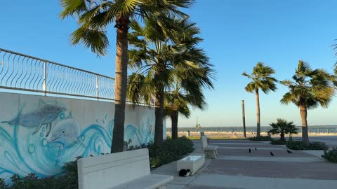 ممشى ساحلي وجلسات خارجية، معلم سياحي وترفيهي مفتوح على الخليج العربي، الواجهة البحرية بمدينة الدمام، المنطقة الشرقية، المملكة العربية السعودية، أنشطة ترفيهية ورياضية متنوعة، مطاعم ومقاهى مطلة على البحر، أجواء عائلية هادئة ومميزة.