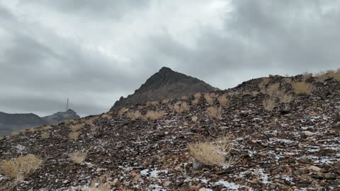 1766562827XguFoJ1K0k