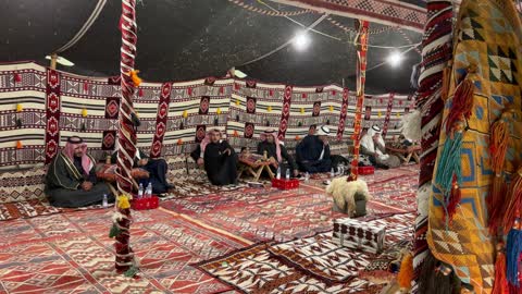 سجاد وبسط تقليدية بألوان حمراء ونقوش ، مجلس عربي تقليدي في الممكلة العربية السعودية، الرجال والنساء يجلسون في مجموعات منفصلة، الأواني التقليدية لتقديم القهوة أو الشاي، الضيافة العربية الأصيلة، الأعمدة الخشبية تدعم هيكل الخيمة
